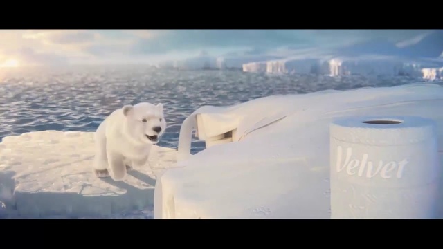 Video Reference: Polar bear, Bear, Arctic, Sky, Natural environment, Ice, Atmospheric phenomenon, Carnivore, Freezing, Polar bear