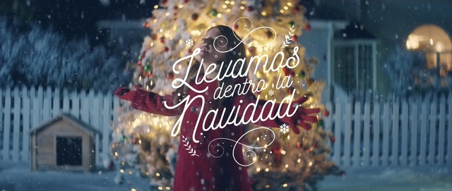 Video Reference: Christmas, Christmas ornament, Christmas eve, Christmas tree, Text, Christmas decoration, Tree, Font, Fête, Event