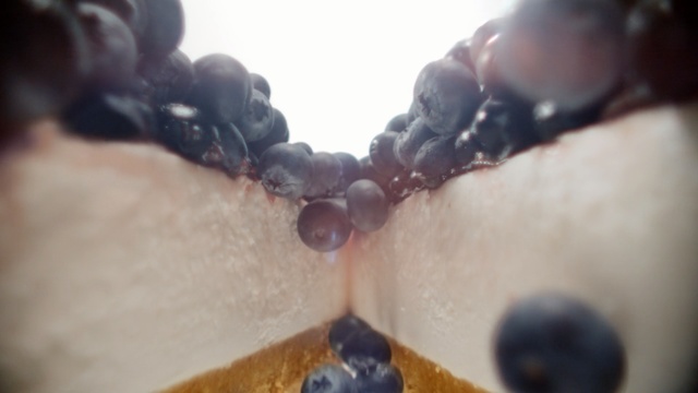 Video Reference: close up, hand