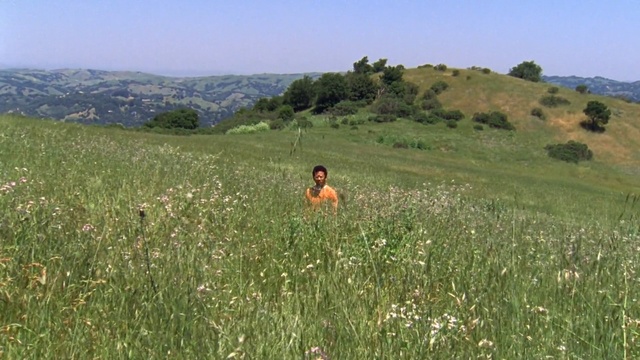 Video Reference: grassland, ecosystem, pasture, prairie, vegetation, meadow, steppe, grass, field, nature reserve