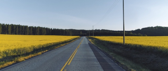 Video Reference: road, field, yellow, infrastructure, canola, highway, rapeseed, sky, mustard plant, mustard and cabbage family
