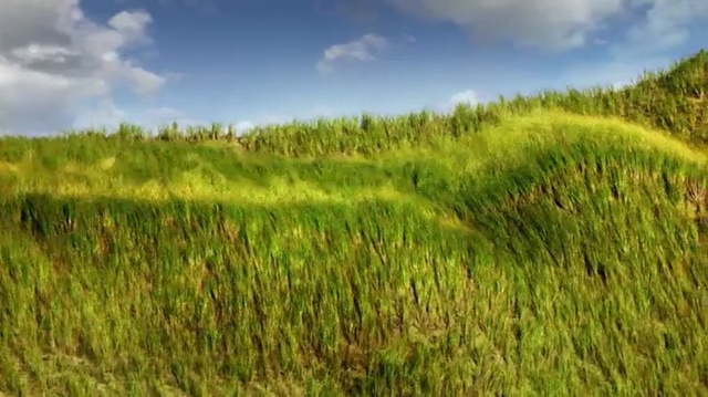 Video Reference: Natural landscape, Nature, Field, Vegetation, Grass, Grassland, Natural environment, Prairie, Plant, Grass family