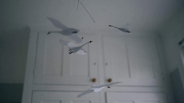 Video Reference: Ceiling, Wing, Bird, Seabird, Mechanical fan, Floor, Plaster