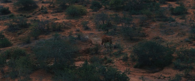Video Reference: Nature, Brown, Green, Natural environment, Soil, Wilderness, Biome, Sky, Geological phenomenon, Ecoregion