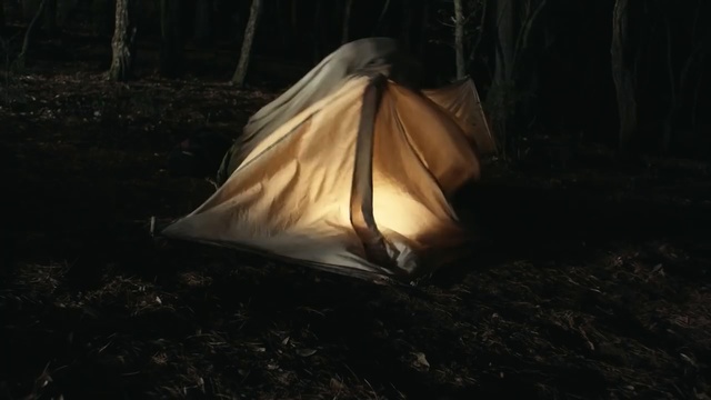 Video Reference: darkness, light, forest, sunlight