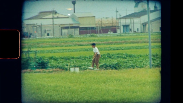 Video Reference: Green, Photograph, Nature, Grass, Grassland, Lawn, Land lot, Pasture, Field, Rural area