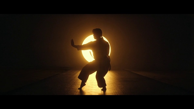 Video Reference: Backlighting, Light, Silhouette, Sky, Dance, Photography, Darkness, Performance art, Performing arts, Performance