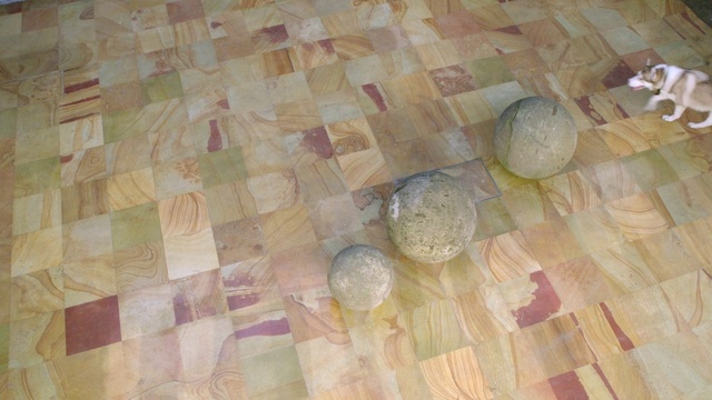 Video Reference: Floor, Hardwood, Wood, Flooring, Tile, Wood flooring, Pattern, Wood stain