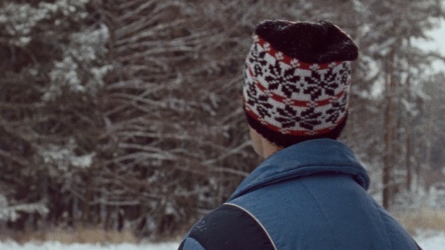 Video Reference: winter, snow, freezing, cap, headgear, beanie, tree, fun, ice