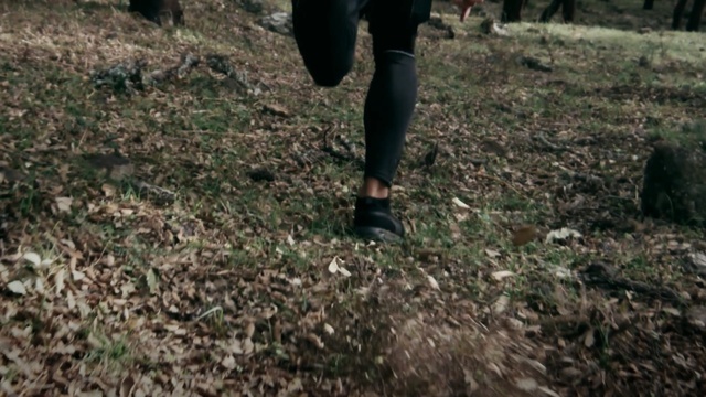Video Reference: Soil, Woodland, Leaf, Footwear, Leg, Grass, Tree, Trail, Shoe, Plant