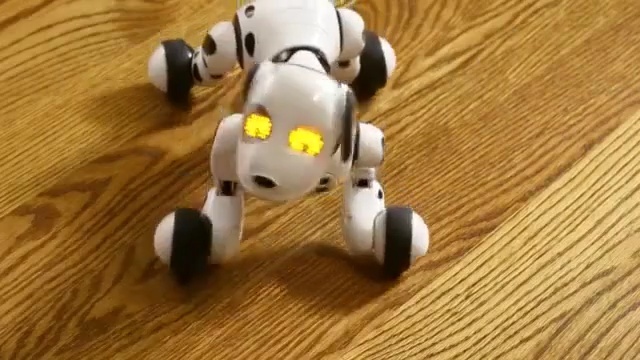 Video Reference: technology, toy, figurine, robot, material, machine, Person