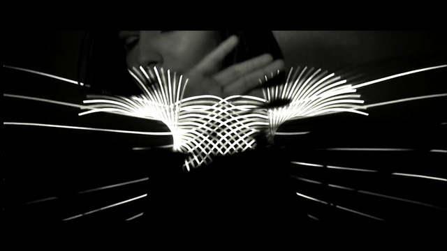 Video Reference: black, black and white, monochrome photography, darkness, light, photography, monochrome, wing, still life photography, close up