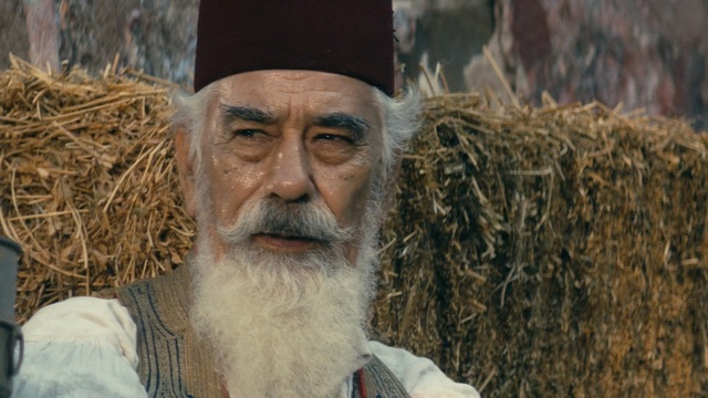 Video Reference: Facial hair, Human, Beard, Elder, Straw, Headgear, Adaptation, Moustache, Crop, Portrait, Person