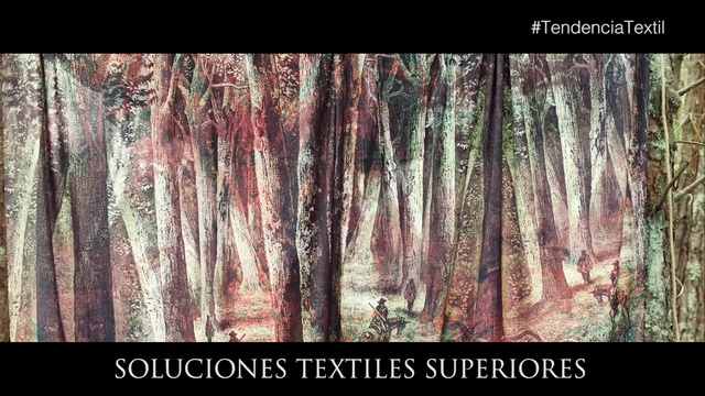 Video Reference: tree, trunk, forest, wood, pattern, woodland, modern art, formation, old growth forest, visual arts