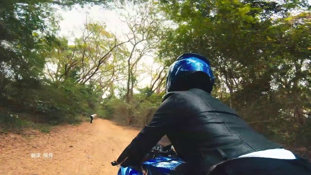 Video Reference: Downhill mountain biking, Outdoor recreation, Recreation, Vehicle, Trail, Jungle, Mountain bike, Mountain biking, Adventure, Tree