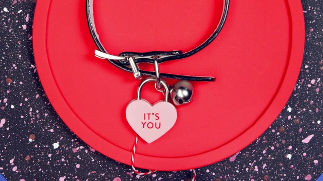 Video Reference: Stethoscope, Red, Pendant, Pink, Necklace, Fashion accessory, Heart, Jewellery, Love, Locket, Sitting, Bicycle, Table, Black, Dog, Small, Holding, Laying, Blue, Bus, White, Man, Accessory