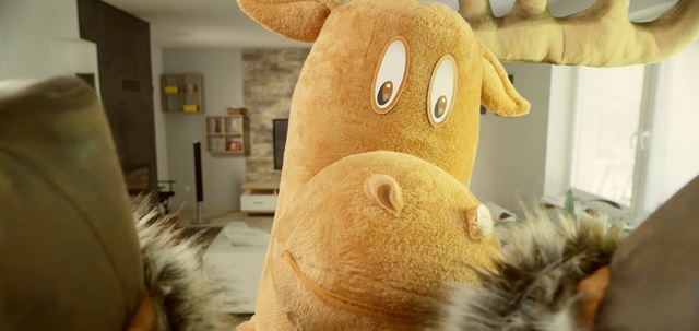 Video Reference: mammal, snout, fur, carnivoran, Person