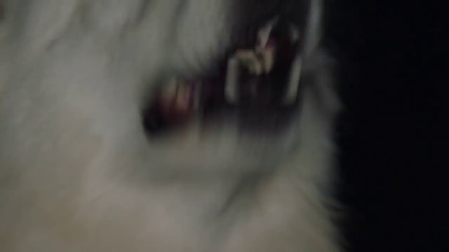 Video Reference: Nose, Eye, Skin, Organ, Close-up, Mouth, Ear, Hand, Finger, Human body