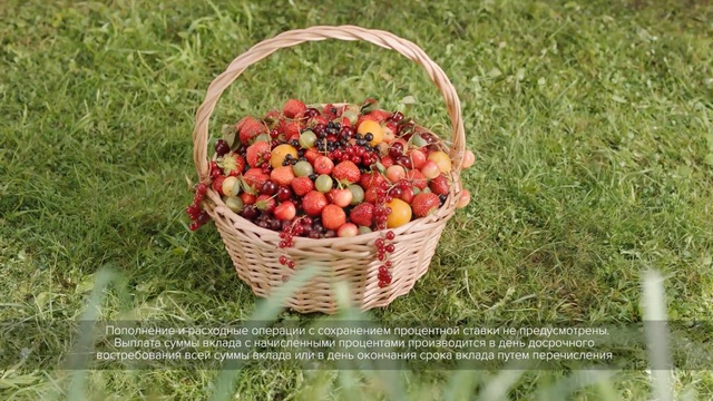 Video Reference: fruit, produce, local food, natural foods, grass, basket, food, berry, strawberries, vegetable