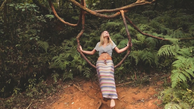 Video Reference: People in nature, Tree, Natural environment, Jungle, Forest, Old-growth forest, Woodland, Rainforest, Plant, Photography