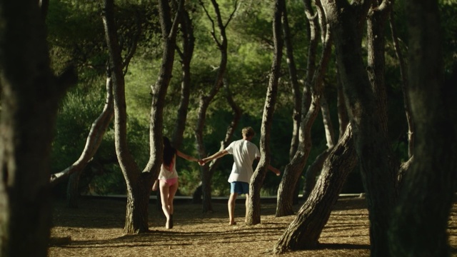 Video Reference: People in nature, Tree, Nature, Photograph, Woodland, Natural environment, Forest, Woody plant, Grove, Jungle