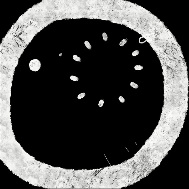 Video Reference: moon, black and white, monochrome photography, circle, monochrome, organism, sphere, astronomical object, font, sky
