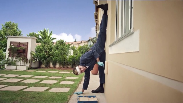 Video Reference: Flip (acrobatic), Freestyle walking, Fun, Street stunts, Home, Plant, House