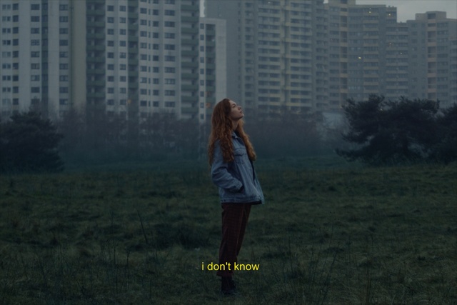 Video Reference: photograph, sky, atmosphere, tree, grass, girl, morning, photography, screenshot, sunlight, Person