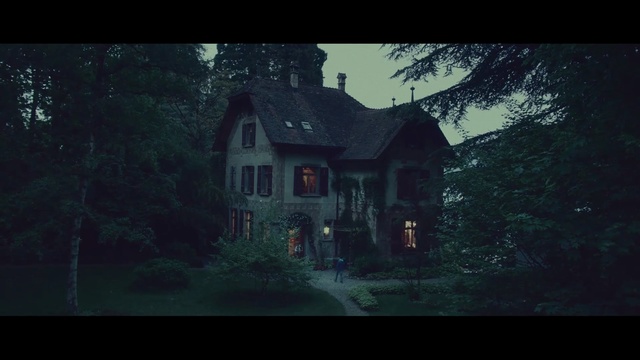 Video Reference: nature, house, tree, darkness, atmosphere, screenshot, night, sky, forest, home