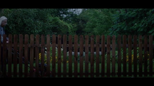 Video Reference: Fence, Nature, Picket fence, Green, Home fencing, Biome, Outdoor structure, Grass, Tree, Wood