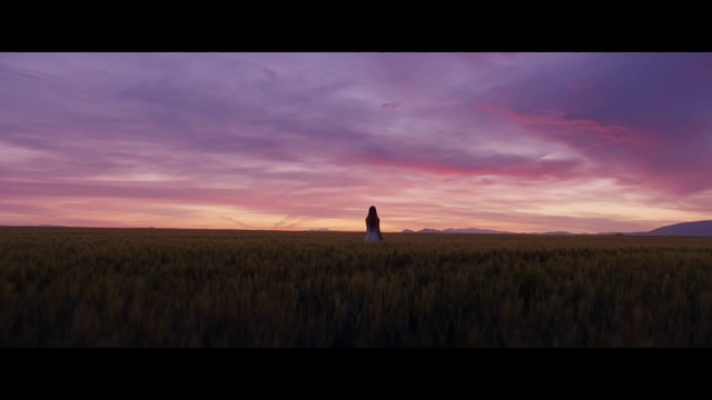 Video Reference: Sky, Horizon, Nature, Grassland, Dusk, Red sky at morning, Plain, Field, Prairie, Cloud
