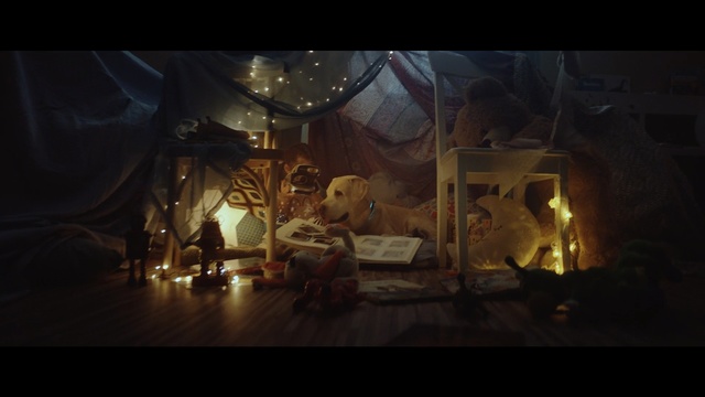 Video Reference: dog, low light, room, tent, cute, sweet