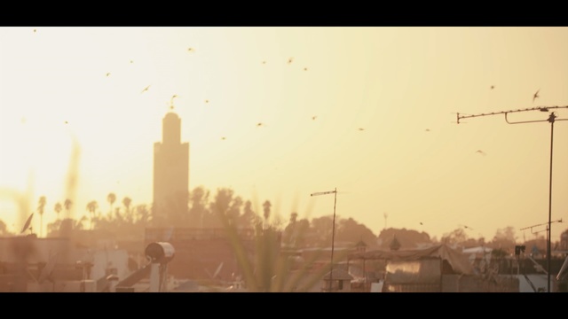 Video Reference: sky, morning, atmosphere, skyline, haze, screenshot, sunlight, evening, city, computer wallpaper, Person