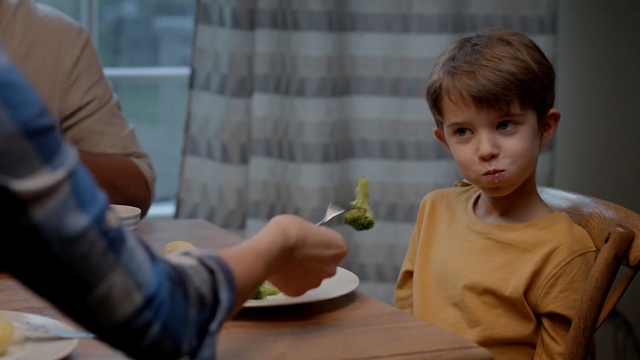 Video Reference: Child, Adaptation, Play, Person