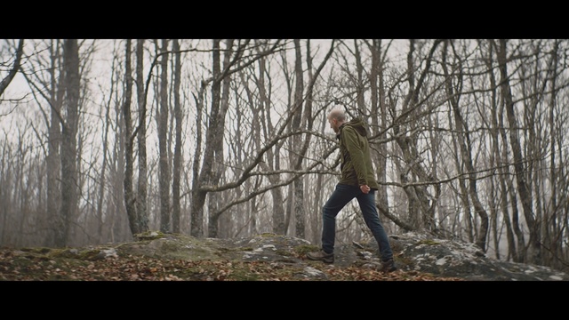 Video Reference: People in nature, Woodland, Forest, Tree, Nature, Natural environment, Atmospheric phenomenon, Wilderness, Branch, Old-growth forest