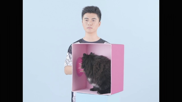 Video Reference: Pink, Fur, Whiskers