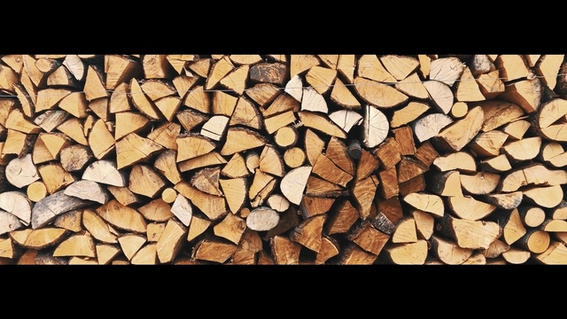 Video Reference: Wood, Tree, Lumber, Pattern, Plant, woodworking, Rock, Art, Person