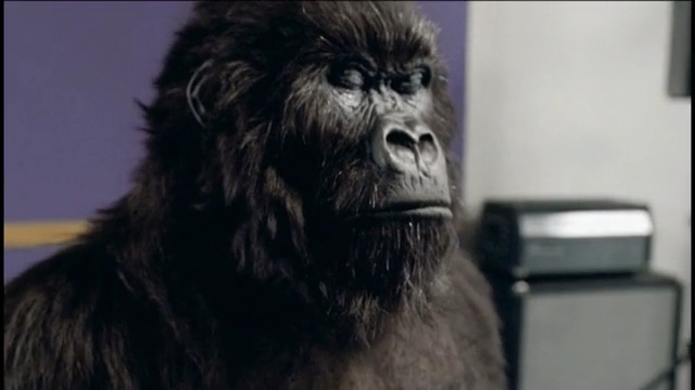 Video Reference: Mammal, Primate, Snout, Human, Organism, Dog breed, Fur, Fictional character