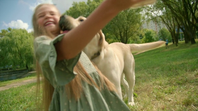 Video Reference: Canidae, Dog breed, Dog, Retriever, Sporting Group, Grass, Labrador retriever, Fawn, Golden retriever, Carnivore