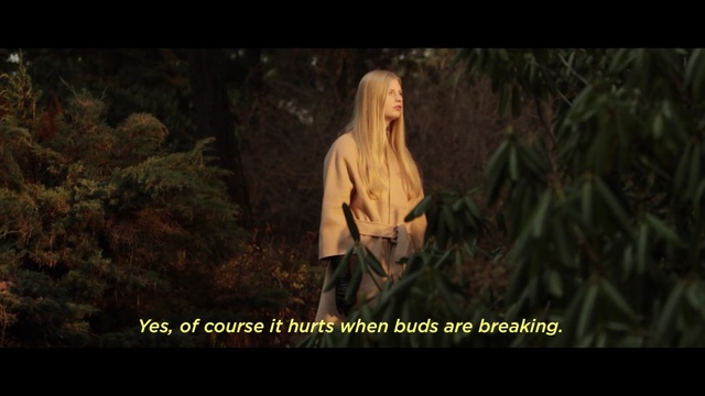 Video Reference: nature, screenshot, religion, darkness, grass, jungle, forest, midnight, computer wallpaper, tree