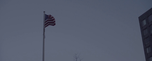 Video Reference: Flag, Sky, Flag of the united states, Pole, Tree, Cloud, Plant, Wind