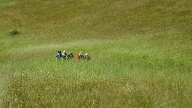 Video Reference: Grassland, Grass, Lawn, Meadow, Natural environment, Field, Pasture, Grass, Prairie, Plain