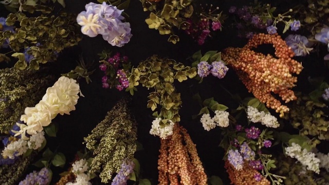 Video Reference: Flower, Plant, Purple, Violet, Lilac, Lilac, buddleia, Still life, Hydrangea, Hydrangeaceae