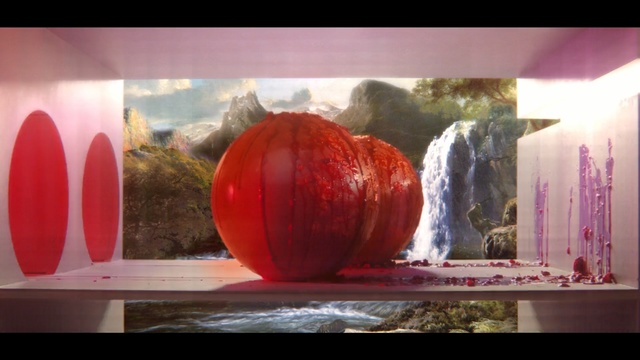 Video Reference: Red, Still life photography, World, Organism, Art, Still life, Photography, Painting, Stock photography, Sphere