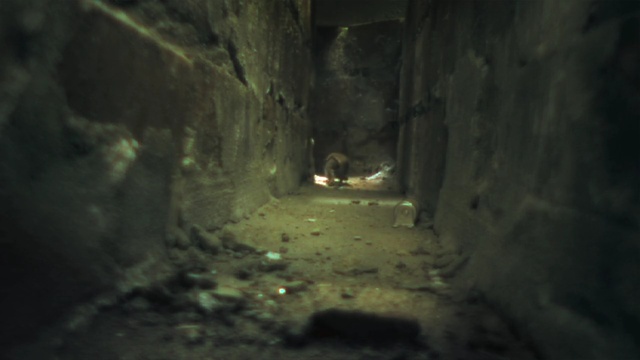 Video Reference: darkness, tunnel, caving, cave, formation
