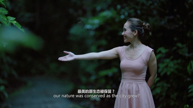 Video Reference: Nature, Photograph, Natural environment, Beauty, Lady, Water, Photography, Forest, Dress, Tree, Person