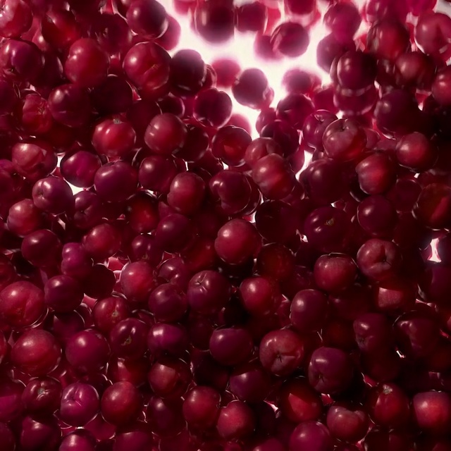Video Reference: Red, Pink, Purple, Magenta, Plant, Fruit, Food, Berry, Lingonberry, Cherry