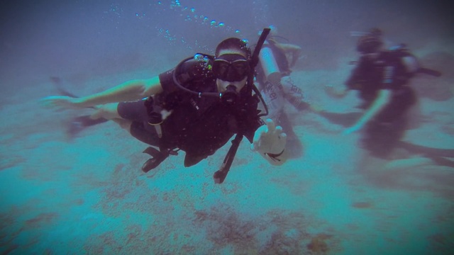 Video Reference: Scuba diving, Underwater diving, Underwater, Divemaster, Water, Diving equipment, Recreation, Aquanaut, Dry suit, Organism