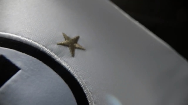 Video Reference: Starfish, Invertebrate, Macro photography, Echinoderm, Insect, Person