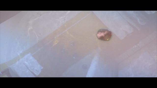 Video Reference: crystal, plaster